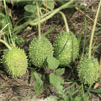 297 screenshot 2024 02 20 at 15 20 37