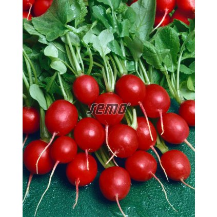 30606 redkvicka prima