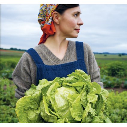 3071 salat hlavkovy zlaty tenisak