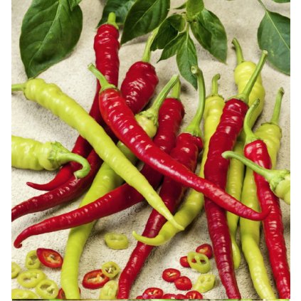 312 paprika berani roh