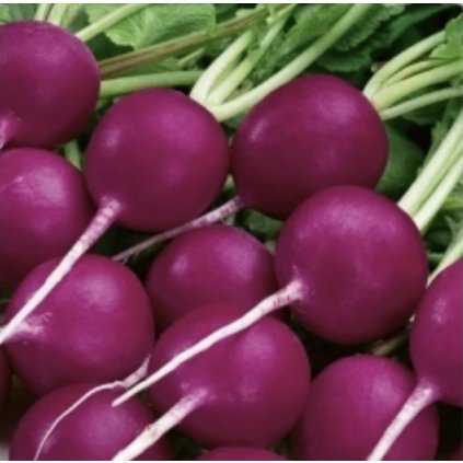 31326 redkvicka viola