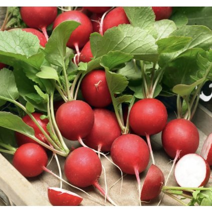 31329 screenshot 2024 03 23 at 6 21 27