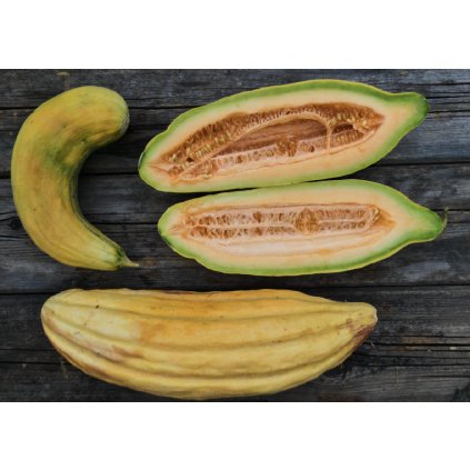 31377 1 screenshot 2025 01 23 at 19 16 12