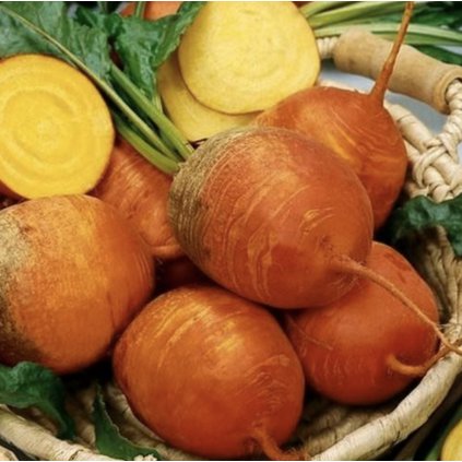 31407 repa detroit zlata