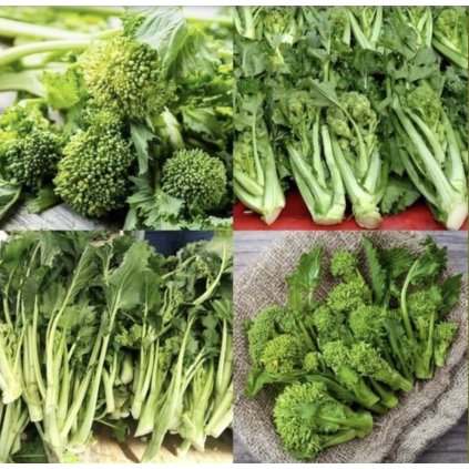 31425 brokolice raab