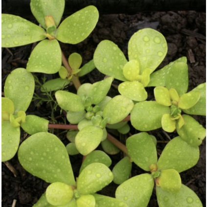 31428 screenshot 2024 03 23 at 8 11 21