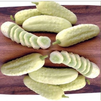 31473 okurka nakladacka salt and pepper