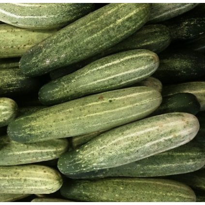 31479 screenshot 2025 01 09 at 11 11 31