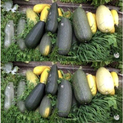 31488 lusthofova smes cuket