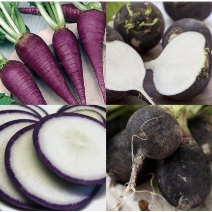 31491 zimni redkev cerna a modra