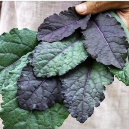 31503 kaderavek modry