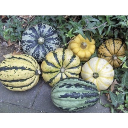 31524 screenshot 2025 01 12 at 1 18 19