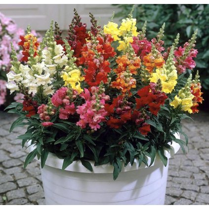 31713 screenshot 2024 03 18 at 14 33 14