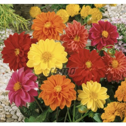 31734 screenshot 2024 01 10 at 9 07 22