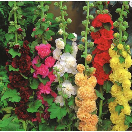 31818 screenshot 2024 02 13 at 14 16 07