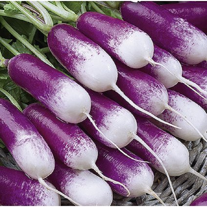 31881 2 screenshot 2024 01 29 at 14 05 21