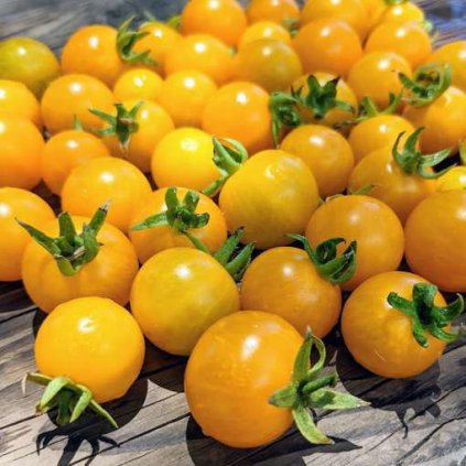 32010 0004469 chello mini dwarf tomato 510