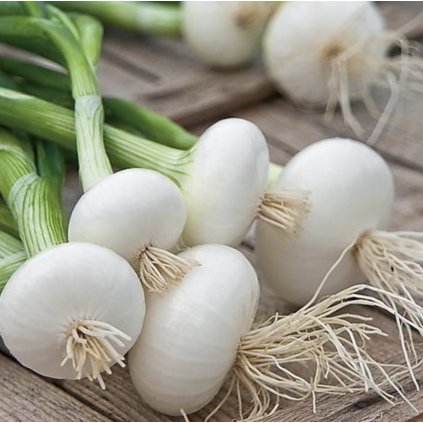 32076 screenshot 2024 01 10 at 8 36 01