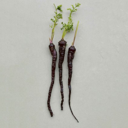 3209 mrkev dark galaxy