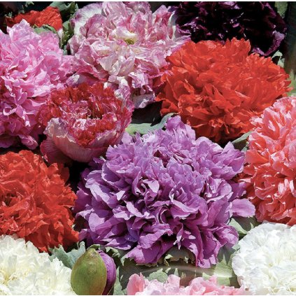 32130 screenshot 2024 02 14 at 17 28 31