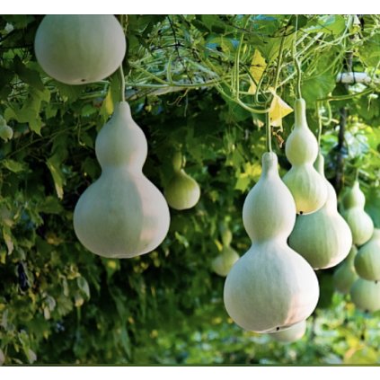 32172 screenshot 2024 01 10 at 8 46 01