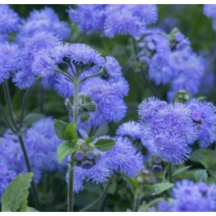 32190 screenshot 2025 02 09 at 14 43 26