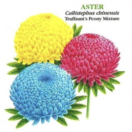 32205 1 screenshot 2024 01 10 at 0 35 36