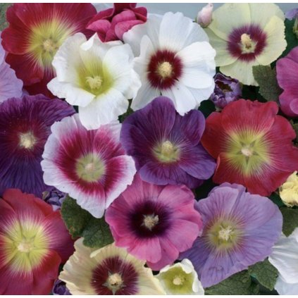 33033 sni mek obrazovky 2024 01 26 v 16 51 05