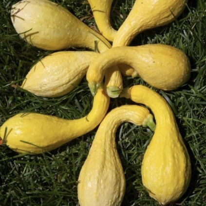 33066 sni mek obrazovky 2024 01 29 v 14 45 18