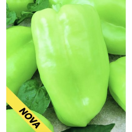 33081 screenshot 2024 02 04 at 21 02 45