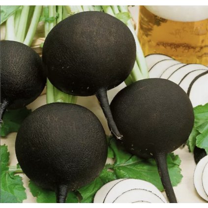 33093 screenshot 2024 01 31 at 0 41 13