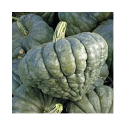 33096 sni mek obrazovky 2024 01 29 v 15 52 01