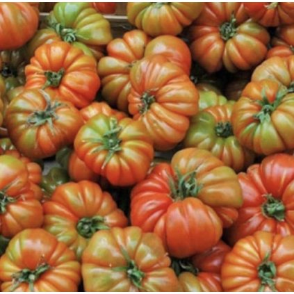 3311 screenshot 2026 01 13 at 14 28 57