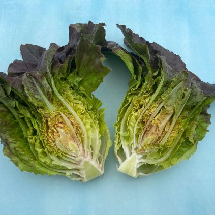 33120 1 967b34fa 9e66 47c5 92f1 9a25b54b7f98