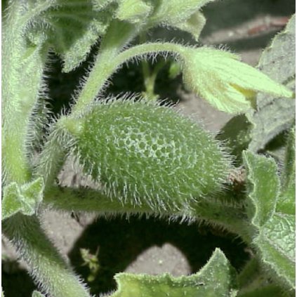 33138 screenshot 2024 01 30 at 17 14 11