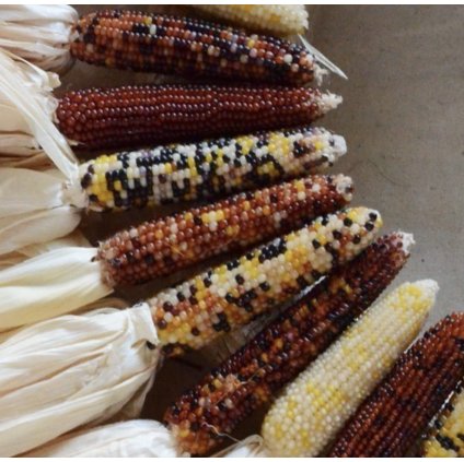 33141 sni mek obrazovky 2024 01 30 v 21 41 21