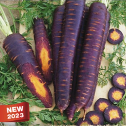 33153 screenshot 2024 01 29 at 13 14 14