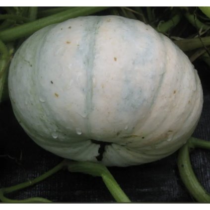 33160 screenshot 2024 02 13 at 21 09 04