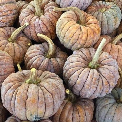 33163 snimek obrazovky 2024 02 01 100306