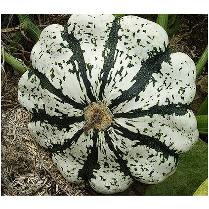 33184 snimek obrazovky 2024 02 01 101219