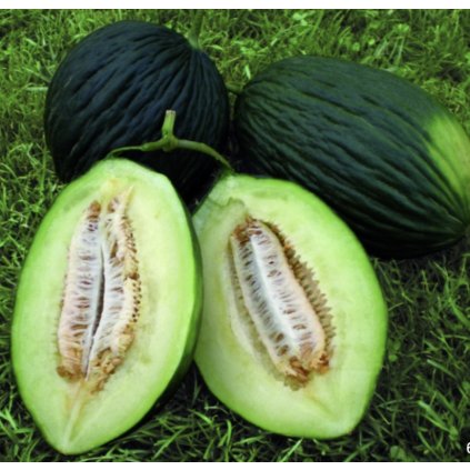 33212 screenshot 2024 02 15 at 1 42 43