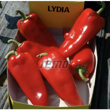 33224 screenshot 2024 02 15 at 9 18 15