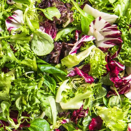 33227 misticanza salad mix 05273