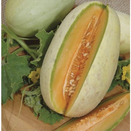 33251 screenshot 2024 02 15 at 10 39 42