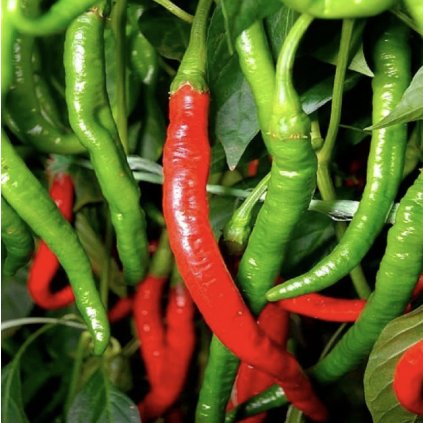 33257 screenshot 2024 02 15 at 10 58 39