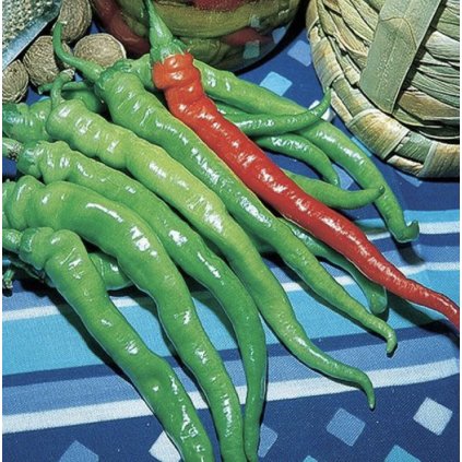 33266 screenshot 2024 02 15 at 11 16 35