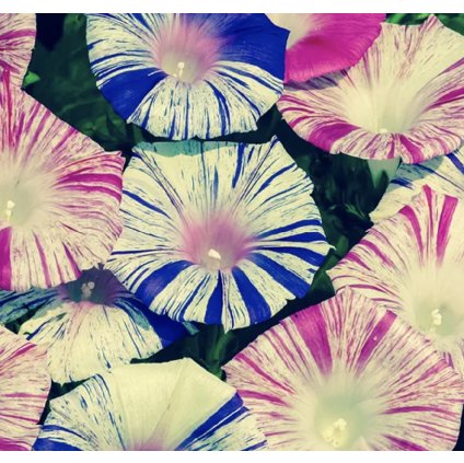 33284 screenshot 2024 02 16 at 1 19 57