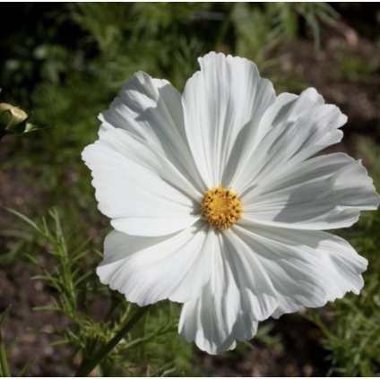 33299 screenshot 2024 02 16 at 8 10 51