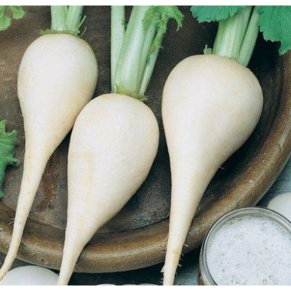 3338 redkev mnichovske pivo