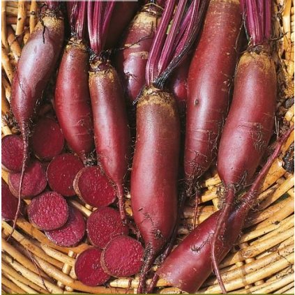 3344 repa cervena cylindra